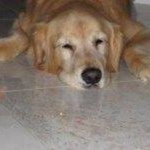 Meet your Posher, Jeannine